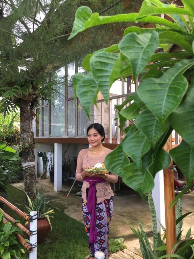 my house guest house Batumadeg Extérieur photo